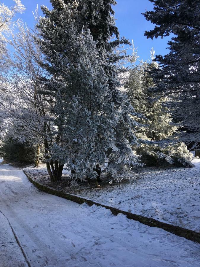 Villa Medvedi Boudy Loučná pod Klínovcem Exterior foto